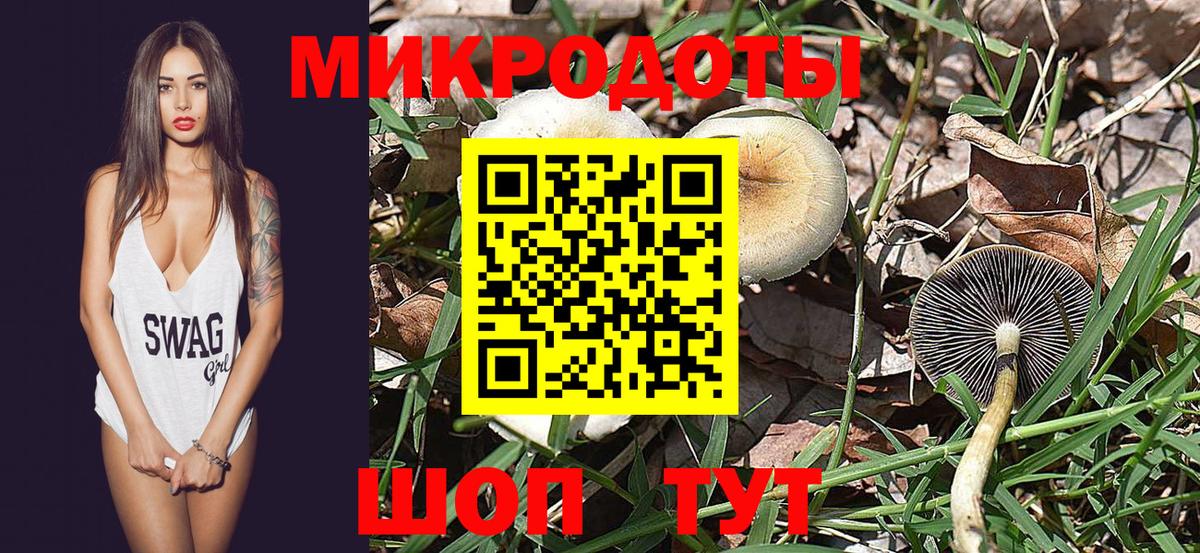 Галлюциногенные грибы MAGIC MUSHROOMS  Вход с VPN  Псилоцибиновые грибы мицелий  Рассказово 
