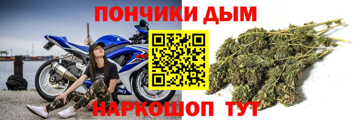 Конопля гибрид  МАРИХУАНА ГИДРОПОН  Канабис Amnesia  Рассказово  МАРИХУАНА White Widow  Вход с VPN 
